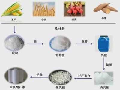 生物基材料成碳中和目標的&ldquo;關(guān)鍵先生&rdquo;?綠色低碳生活成主流