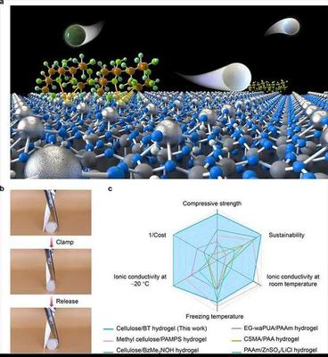 【材料】武大陳朝吉課題組生物質(zhì)基低碳功能材料系列研究進展