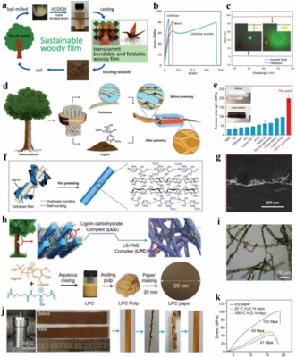 Green Chemistry綜述:先進、多功能木質(zhì)素基生物降解復合膜材料助力可持續(xù)發(fā)展
