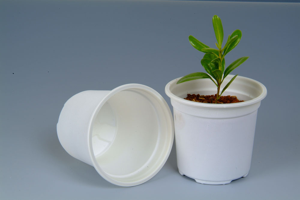 【綠色環保 生物降解 淀粉基塑料 可制作紙巾盒】價格,廠家,圖片,其他通用/工程塑料,江蘇錦禾高新科技股份有限公司銷售部