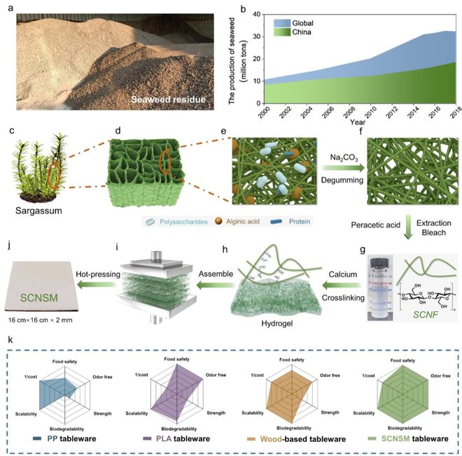 中科大俞書宏院士團隊AM:可食用、超強、熱穩定好的海藻基結構材料,可生物降解餐具新選擇!