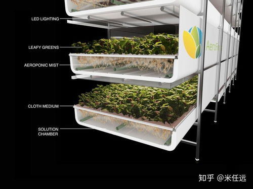 農學專業在中國有什么未來