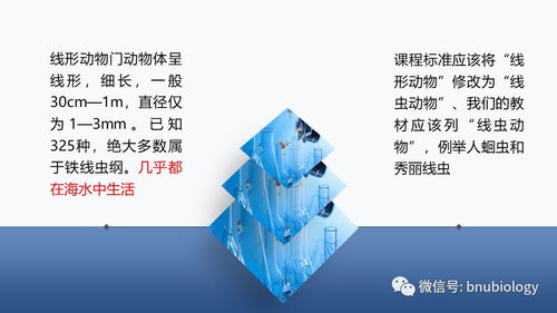 中學(xué)生物學(xué)課程目標(biāo)由雙基走向核心素養(yǎng),在生物學(xué)課堂上我們該教給孩子們什么