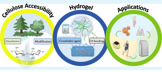 【學術進展】新疆農業大學李君副教授發表纖維素溶解、改性及材料調控的綜述
