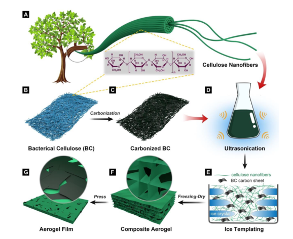 北京林業(yè)大學(xué)許鳳教授課題組在生物質(zhì)基功能新材料研發(fā)領(lǐng)域的前沿探索與實(shí)踐
